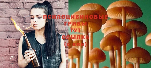винт Арсеньев