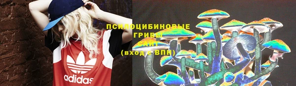 винт Арсеньев