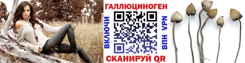 наркотики  Мураши  кракен зеркало  маркетплейс формула  Псилоцибиновые грибы Psilocybe 
